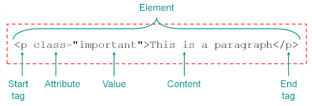 Html, Html5, Html Tutorials, Learn Html, Free Html Tutorials, Html Example, Html Explained, Html Attributes, Html Elements, Href Attribute, Src Attribute, Absolute Url, Relative Url, Width And Height Attributes, Alt Attribute, Style Attribute, Lang Attribute, Title Attribute