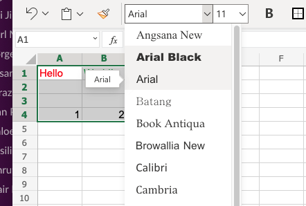 Excel Format Fonts -